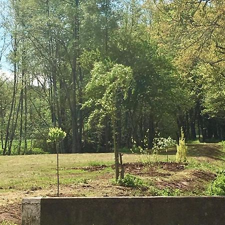 Le Moulin De Lassalle キュルモント エクステリア 写真